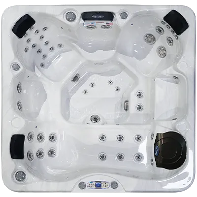 Avalon EC-849L hot tubs for sale in Peoria